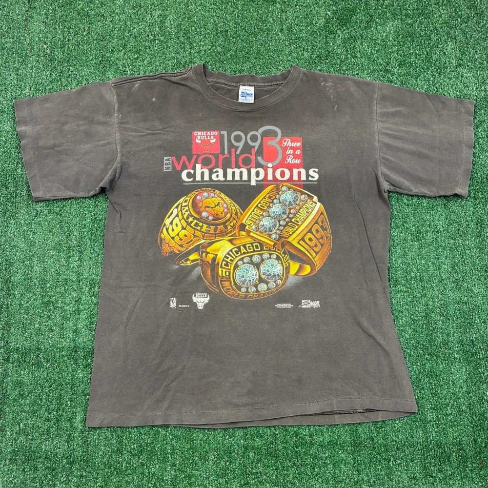 Vintage 1993 Salem Sportswear Chicago Bulls World Champions T-shirt